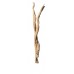 GHOSTWOOD BRANCHY Sanded 48" -